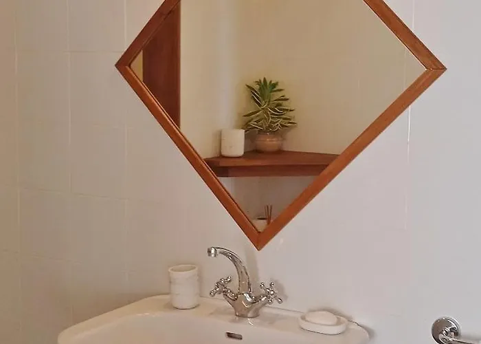 Amuse Bush Villa