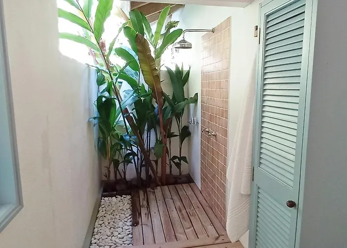 Amuse Bush Villa