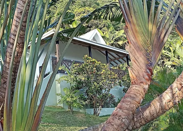 Villa Amuse Bush